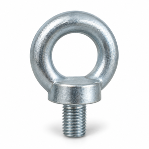 Bolt: lifting eye